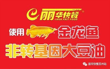 從網上買金龍魚怎么樣安全嗎：從網上買金龍魚怎么樣安全？