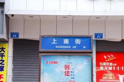 金龍魚成長記錄：金龍魚的成長記錄