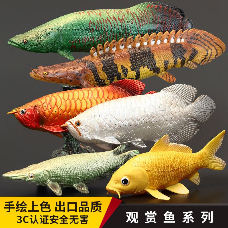紅龍魚多大發(fā)色算正常圖片（紅龍魚多大發(fā)色算正常圖片大全）