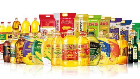 溫州金龍魚公司地址電話