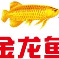 溫州金龍魚公司地址電話