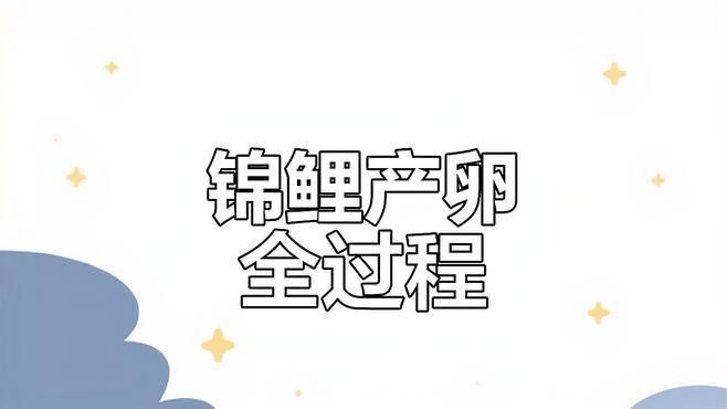 龍鳳魚繁殖需要注意什么？