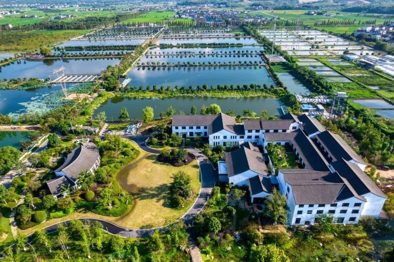 龍游龍和漁業園餐廳 龍游龍和漁業園餐廳 龍魚百科 第1張