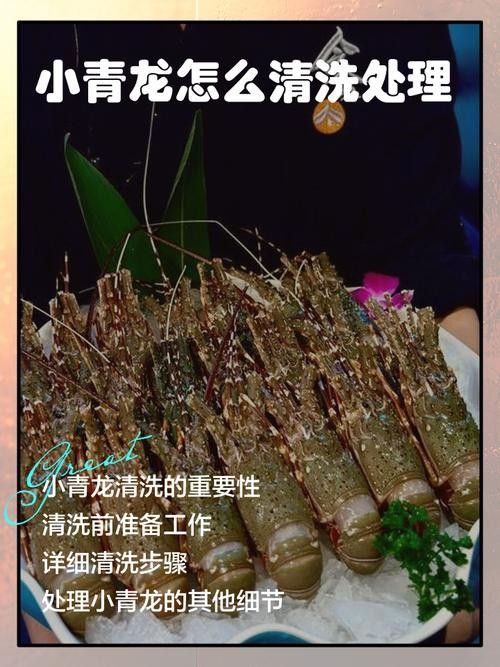 青龍魚圖片做法大全集