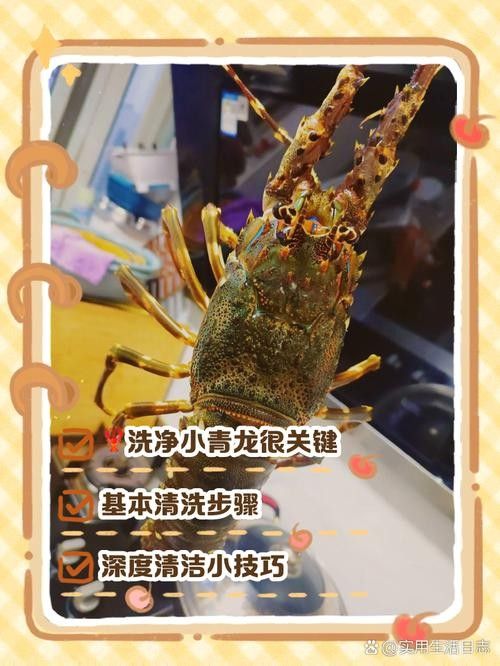 青龍魚圖片做法大全集