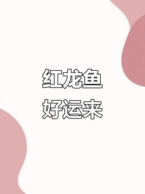 極品紅龍魚(yú)圖片