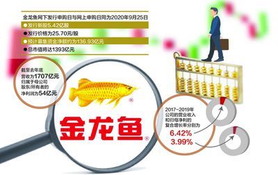 金龍魚價格策略優化方案怎么寫：金龍魚價格策略優化方案