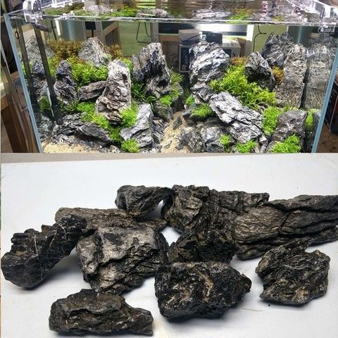 龍魚缸改草缸造景：龍魚缸改草缸造景的詳情