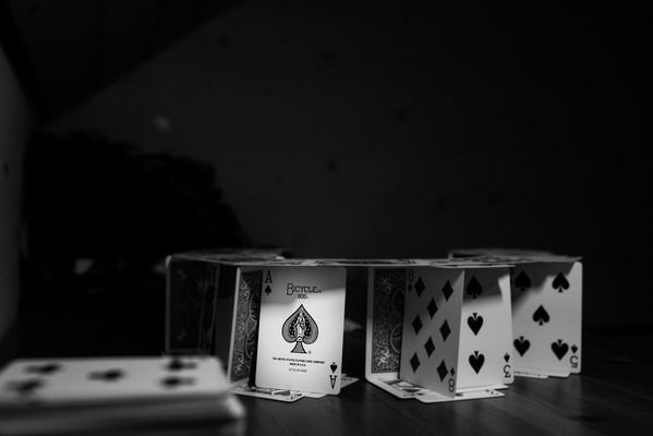 女王大帆魚苗養殖技術：女王大帆魚苗繁殖成功率提升女王大帆魚苗繁殖成功率提升