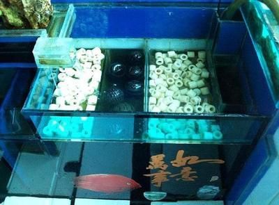 魚缸性價比高的過濾棉推薦，魚缸過濾棉品牌對比