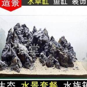 青龍魚飼料營養價值對比：青魚飼料營養價值的對比分析