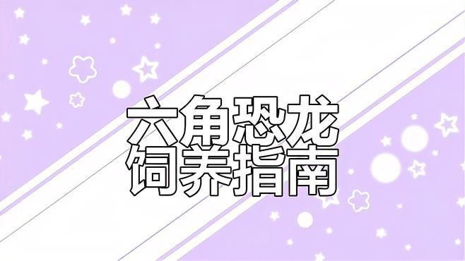 養六角恐龍魚需要準備什么物品