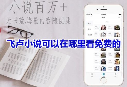 飛盧小說網(wǎng)是否提供免費(fèi)閱讀？