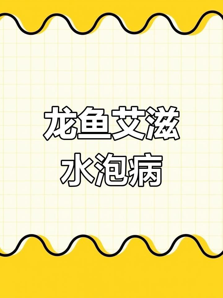 龍魚水泡病復發癥狀有哪些