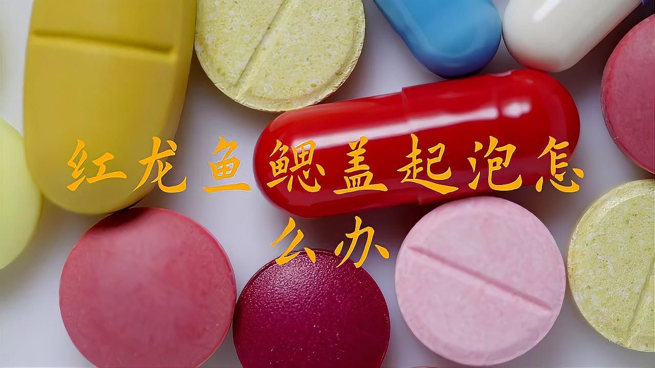 龍魚水泡病復發癥狀有哪些