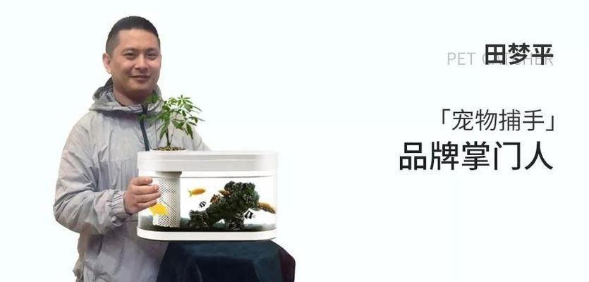 龍魚被欺負長時間在中下游沒事吧：新手養龍魚記住這5點就夠了