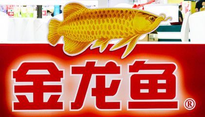金龍魚加盟店怎么樣：金龍魚加盟店市場表現及加盟優勢、品牌影響力影響力提升