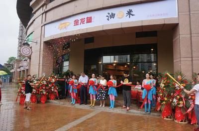 金龍魚加盟店怎么樣：金龍魚加盟店市場表現及加盟優勢、品牌影響力影響力提升