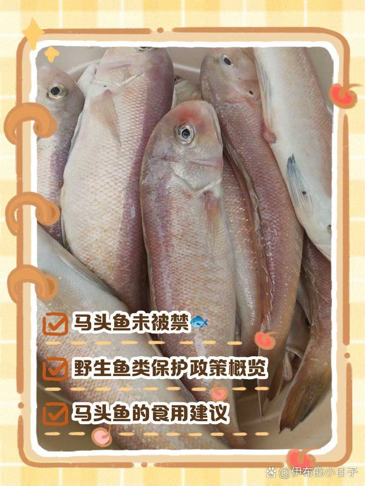 馬頭魚是海魚還是淡水魚