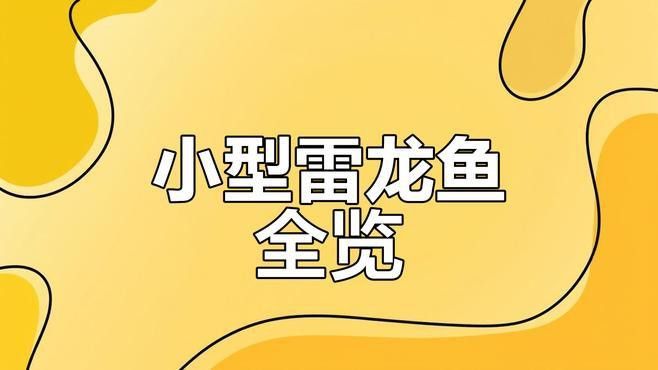 七彩雷龍有哪些品種？