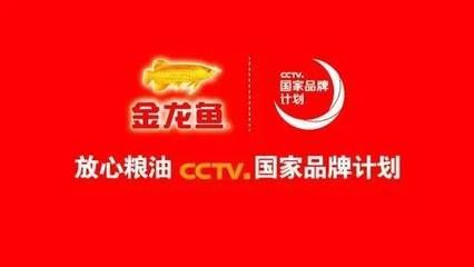 cctv6金龍魚（cctv6與金龍魚之間的合作歷史）