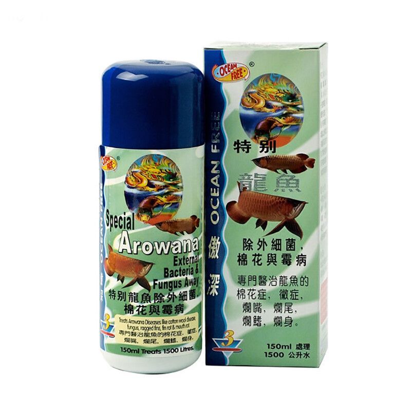 龍魚霉菌感染特效藥是什么（龍魚感染水霉病怎么辦）