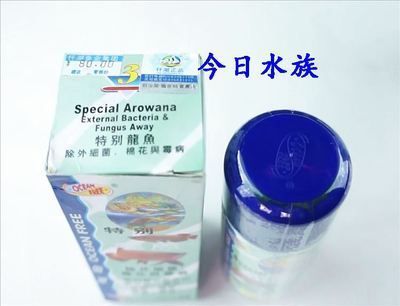 龍魚霉菌感染特效藥是什么（龍魚感染水霉病怎么辦）