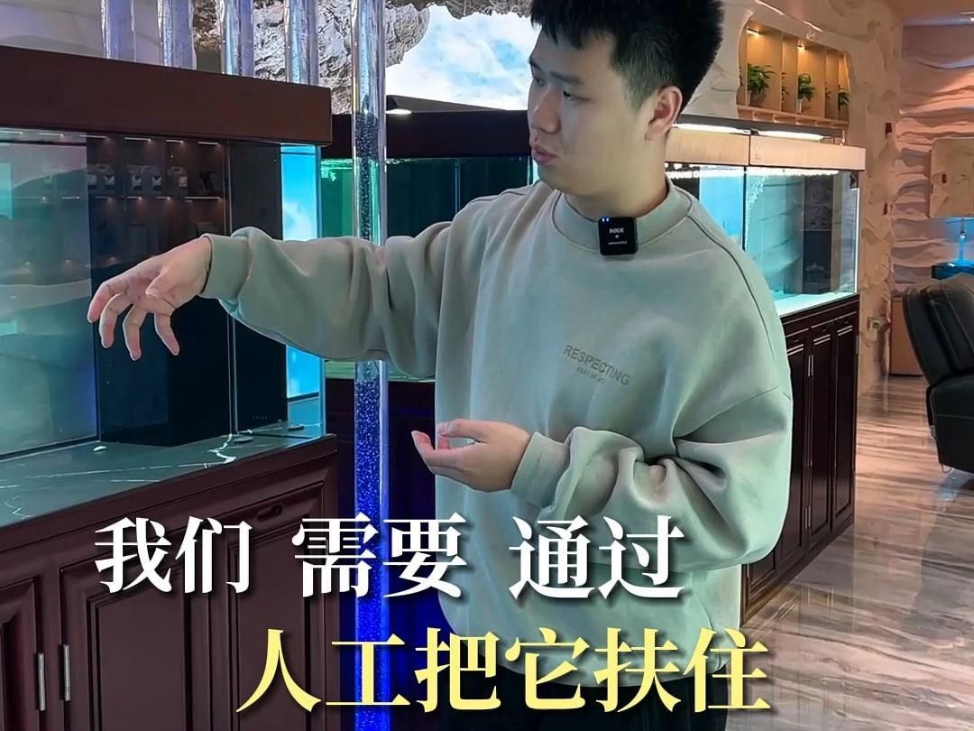 龍魚能擋災嗎