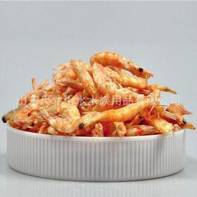 龍魚一直吃面蟲和干蝦可以嗎（長期單一喂食面包蟲和干蝦可以嗎，龍魚可以吃面包蟲和干蝦嗎）