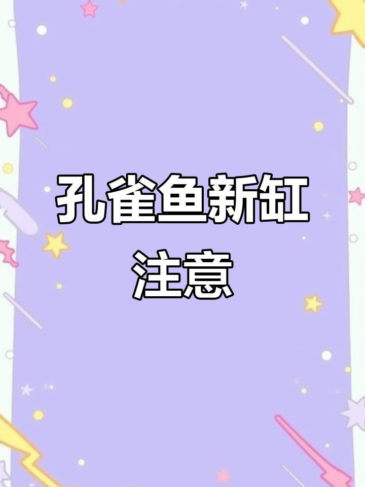 換缸后多久可以喂食？