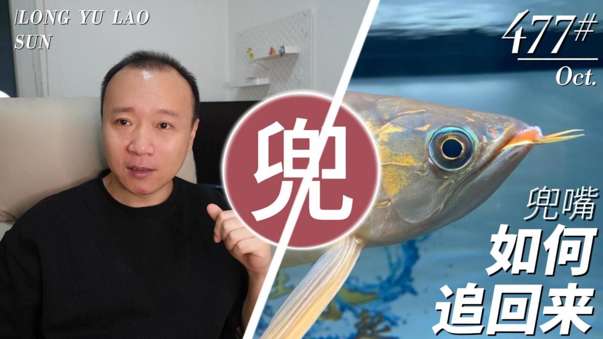 銀龍魚翹嘴怎么回事啊圖片