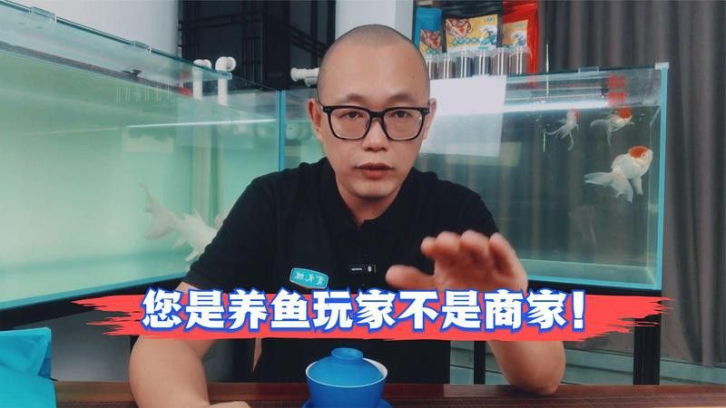六角龍魚能和其他魚混養(yǎng)嗎？