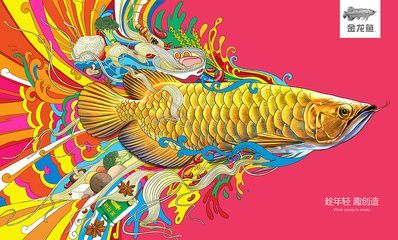 金龍魚背景什么顏色好看：養金龍魚用什么顏色的背景墻(什么顏色的背景好