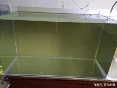龍魚換水每次都需要加硝化菌嗎：龍魚換水每次都要加硝化菌嗎每次都要加硝化菌嗎