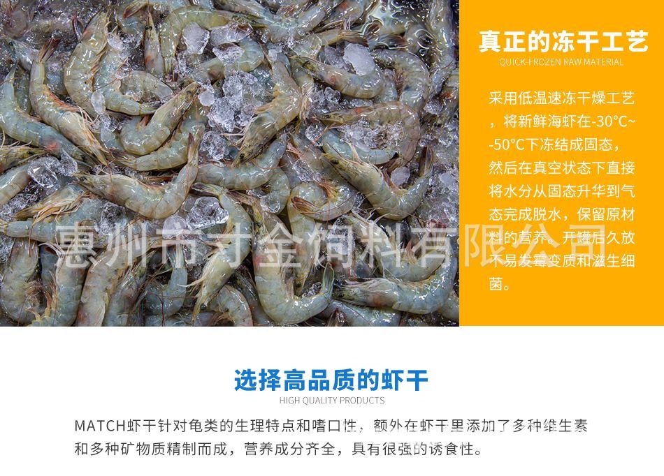 紅龍魚飼料與活餌比較：紅龍魚的飼料和活餌的選擇