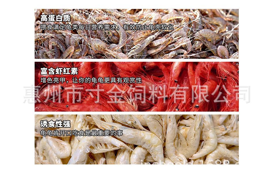 紅龍魚飼料與活餌比較：紅龍魚的飼料和活餌的選擇