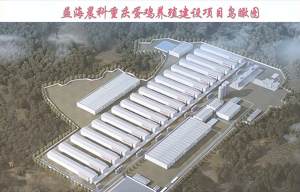 廣東金龍魚養(yǎng)殖場在哪里建