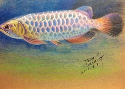 龍魚繪畫作品，藍健康龍魚作品賞析