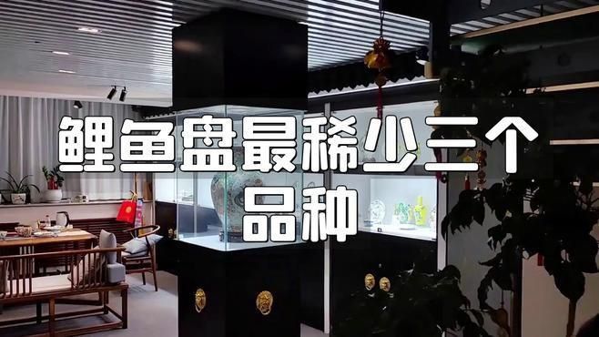鯉魚盤最稀少三個品種