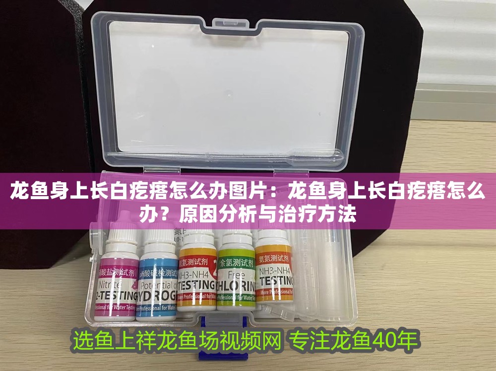 龍魚身上長白疙瘩怎么辦圖片：龍魚身上長白疙瘩怎么辦？原因分析與治療方法