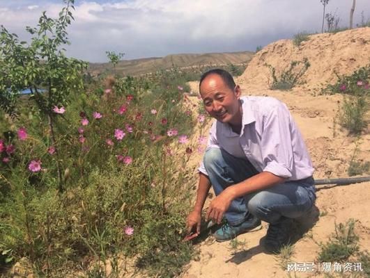 龍魚老孫被同行質(zhì)疑