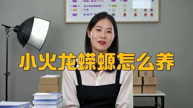 蠑螈需要多大的飼養箱？