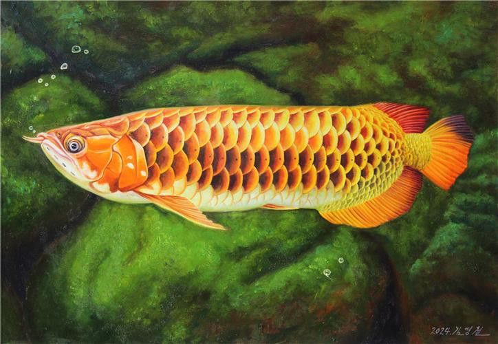 金色龍魚壁紙高清圖片