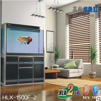 賽級F2龍魚（賽級f2龍魚價格因素而異，購買時需仔細鑒別，仔細辨別）