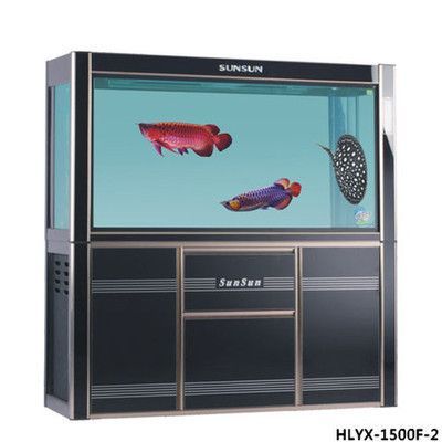 賽級F2龍魚（賽級f2龍魚價格因素而異，購買時需仔細鑒別，仔細辨別）