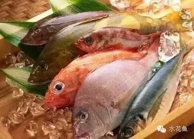 龍魚為什么老在下面：龍魚為什么老往下面游，原因分析與解決方法