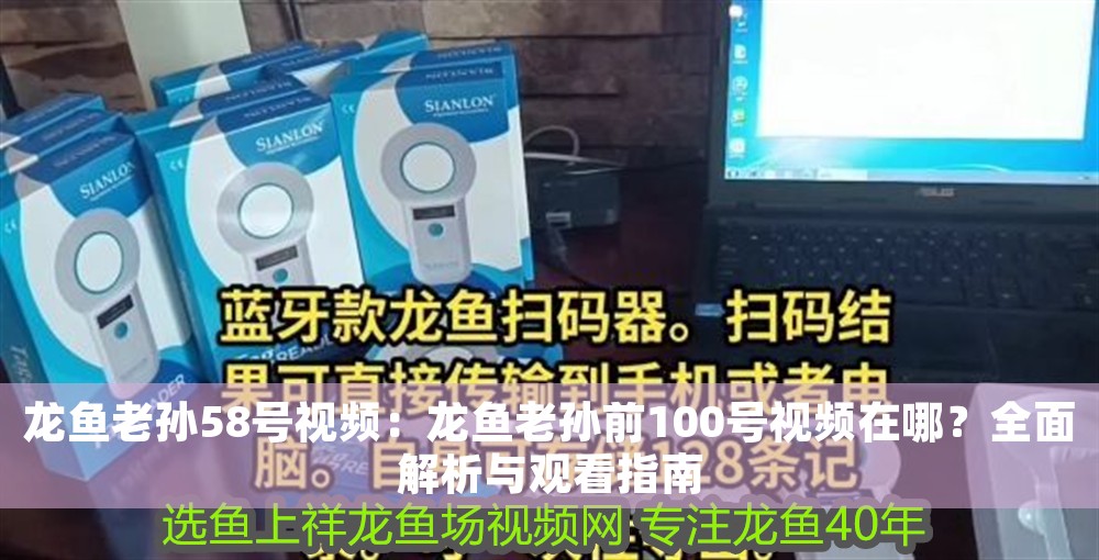 龍魚老孫58號視頻：龍魚老孫前100號視頻在哪？全面解析與觀看指南