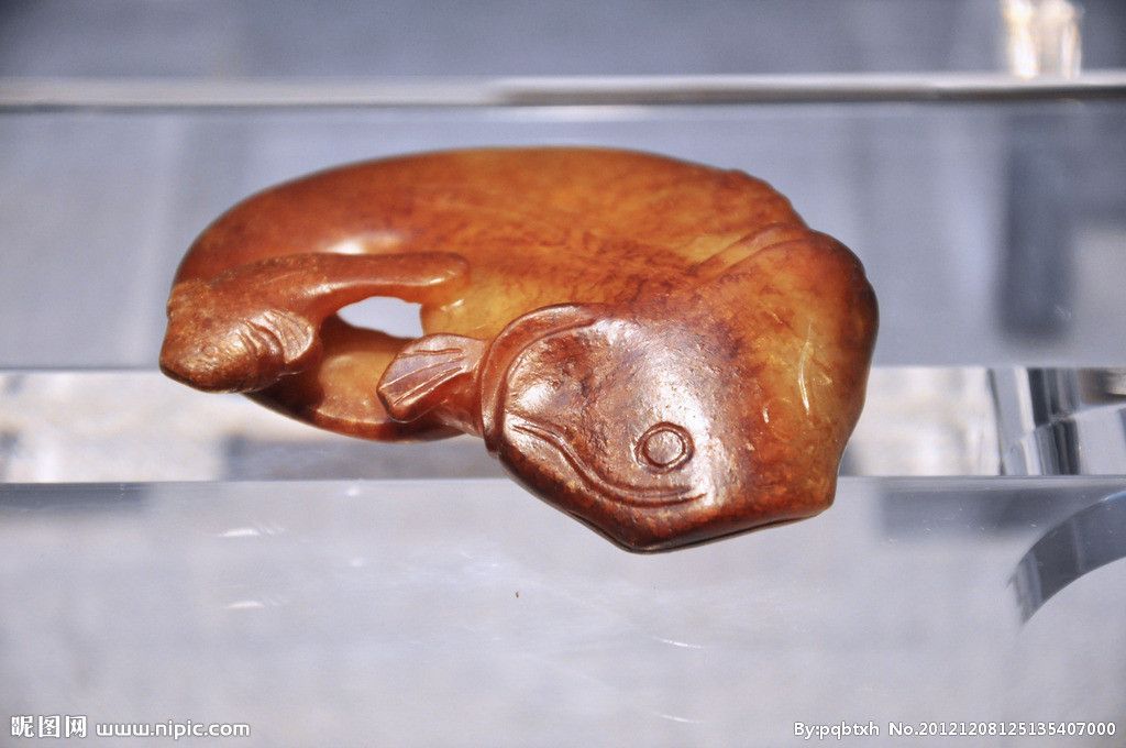 黃龍魚圖：30篇黃龍魚高清圖片欣賞及其分類介紹