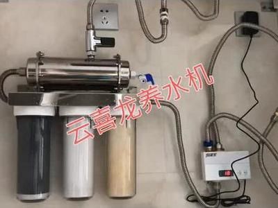 龍魚燈的安裝位置圖解：如何安裝龍魚燈