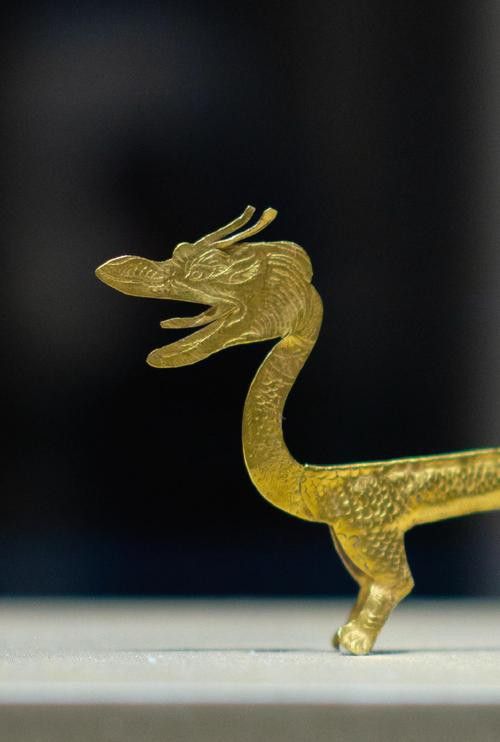 給我高清版金龍文物圖片